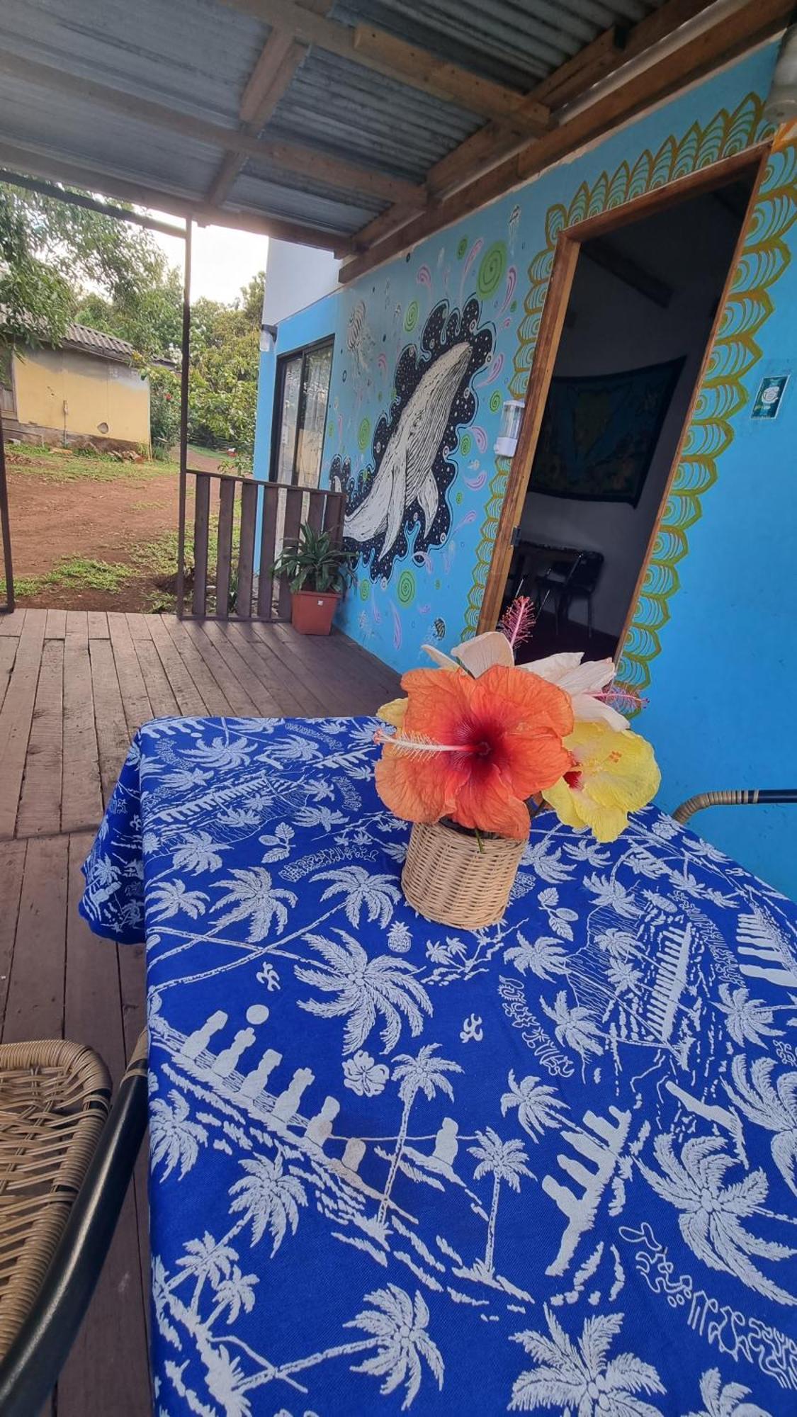 Cabanas Henua Roa Hanga Roa Pokoj fotografie
